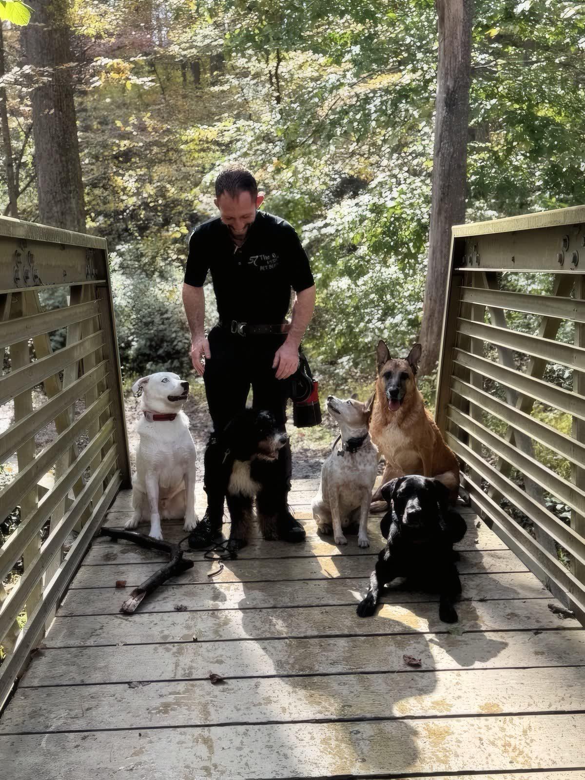 Michael Kelly working outside with a group of dogs