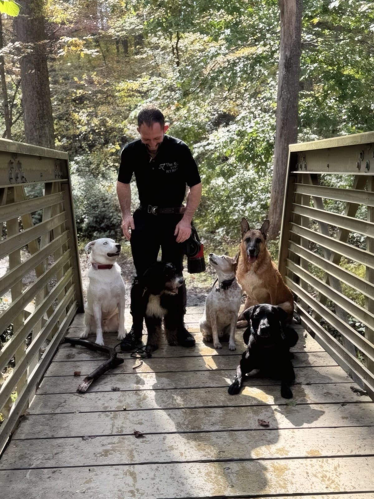 Michael Kelly, founder of The Raja Private School for Dogs, with his dogs